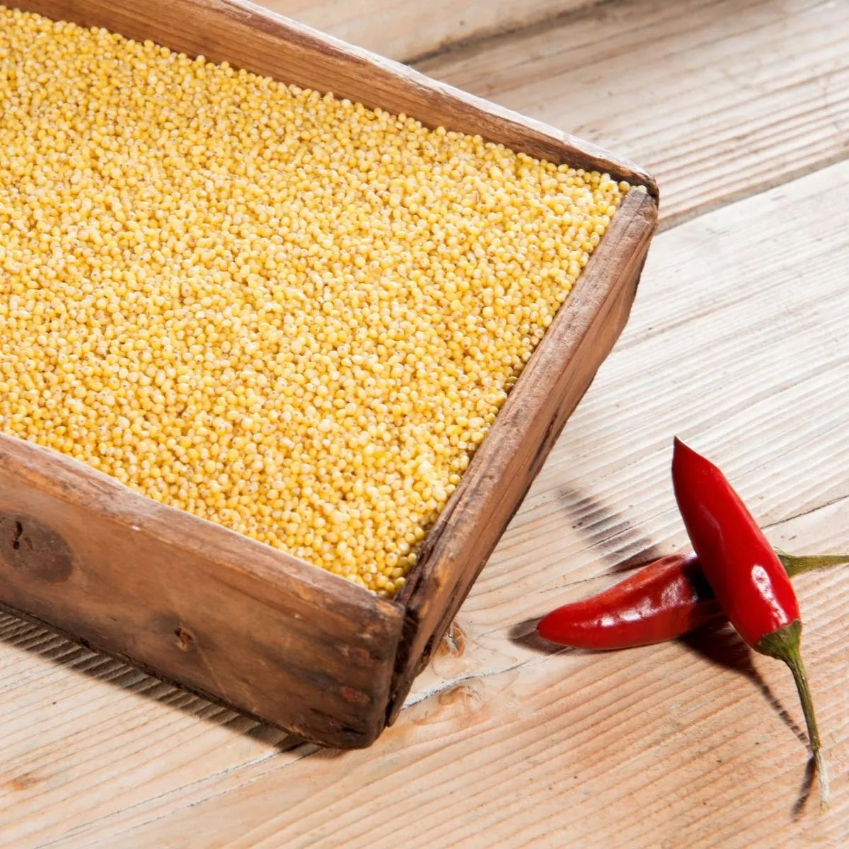 MILLET entier BIO by Viola 2025